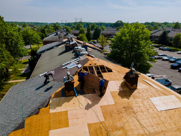 Trusted Roof Replacement service in Sunny Side, GA - Brentwood Metal Roofing